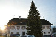 Am Stansstader Weihnachtsbaum hängen derzeit keine Lichter. Schuld sind Vandalen. (Bild Geri Wyss)