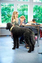 Schulhund Balou im Einsatz an der Primarschule Rain. (Bild Manuela Jans)