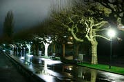 Am Alpenquai sieht man verschiedene Lampen mit unterschiedlicher Leuchteigenschaften. (Bild: Stefan Kaiser/Neue ZZ)