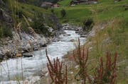 Die Wasserkraft im oberen Teil des Chärstelenbachs im Maderanertal soll durch die Erstellung eines neuen Kraftwerks langfristig genutzt werden. (Bild: Florian Arnold / Neue UZ)