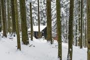 Eine der illegal erstellten Bauten im Krienser Hochwald, die vor rund zwei Jahren für Schlagzeilen sorgten. (Bild: Roger Gruetter (19. Februar 2016))