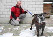 Markus Brechbühl, Leiter des Tierheims an der Ron in Root, mit 12-jährige American-Staffordshire-Bullterrier-Dame Damaris, die auf einen Platz wartet. (Bild Nadia Schärli/Neue LZ)