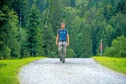 So wie im Vordergrund sollte ein Wanderweg aussehen. Asphalt hingegen ist suboptimal. Elias Vogler vom Verein Luzerner Wanderwege in der Nähe der Krienseregg. (Bild Dominik Wunderli)