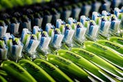 Täglich werden bei Trisa mehr als eine Million Zahnbürsten produziert. (Bild: PD)