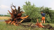 Nach dem Durchzug einer Gewitterfront mit Sturmböen wurde die Freiwillige Feuerwehr der Stadt Zug am Freitagabend zu neun Unwettereinsätzen in der Gemeinde Zug aufgeboten. (Bild: Martin Cugini)