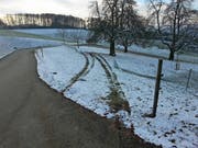 Das beschädigte Schneefangnetz im Gebiet Oberwellnau in Triengen. (Bild: Luzerner Polizei)