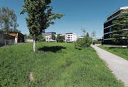 Die Ecke des Baus, die mit dem Profil gekennzeichnet ist, soll zu nahe am «Rankbächli» sein. (Bild: Stefan Kaiser (Zug, 10. Mai 2017))