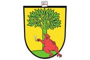 Die Neuinterpretation: Der Grafiker Angelo Gwerder hat das Rischer Wappen humorvoll uminterpretiert und schreibt dazu kurz und knapp: «Das aktualisierte Rischer Wappen zeigt den roten Luchs am Morgen danach.»