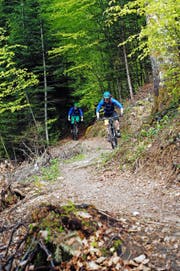 Die Finanzierung des Zugerbergtrails ist beinahe gesichert. (Bild Lukas Blaser)