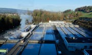 Die Aussicht auf die Klärbecken der Abwasserreinigungsanlage Schönau. Bild: Stefan Kaiser (Cham, 12. Dezember 2014)