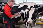 Heute übernehmen Robotersysteme vieles automatisch – gesteuert werden sie übers Handy. (Bild: Lely)