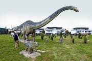 Imposant wirken die riesigen Dinosaurier-Modelle vis-à-vis vom Strandbad. Bild: Werner Schelbert (2. Oktober 2016)
