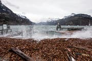 Laub und Äste werden während einem Föhnsturm am Urnersee von den Wellen ans Ufer geschwemmt. (Bild: KEYSTONE/Alexandra Wey (Brunnen, 7. Februar 2016))