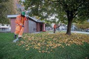 Asylsuchende reinigen im Tessin einen Park. Massnahmen zur Integration in den Arbeitsmarkt sind auch im Kanton Luzern ein grosses Thema – weil sonst die Sozialhilfekosten von Kanton und Gemeinden steigen. (Bild: Francesca Agosta/Keystone (Biasca, 18. Oktober 2017))