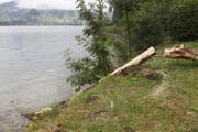 Ein Teil landete im Lauerzersee. (Bild: Geri Holdener)