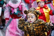 Eine Wildkatze setzt zum Konfetti-Wurf an. (Bild: Stefan Kaiser / Neue ZZ)