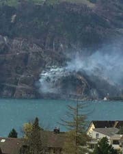Der Böschungsbrand an der Isenthalerstrasse. (Bild: pd)