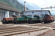 Die ganze Krokodilfamilie unter sich (von links): Ce 6/8 II 14253, Ce 6/8 III 14305, Be 6/8 III 13302, Prototyp Ce 6/8 I 14201. (Bild: zvg)