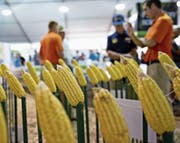 Syngenta-Mitarbeiter präsentieren ihre Produkte an einer Landwirtschaftsausstellung in Illinois. (Bild: Daniel Acker/Getty (Decatur, 29. August 2017))