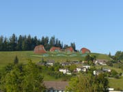 Der Mammut-Park in der Region Huttwil (genauer Standort noch offen) ist das Herzstück des Erlebnisangebots. (Bild: Visualisierung pronatour GmbH Leobendorf)