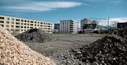 Dieses Baufeld in der Feldbreite, wo die «Feldhäuser» hätten gebaut werden sollen, bleibt vorläufig eine Brache. (Bild: Corinne Glanzmann (Emmen, 23. März 2017))