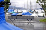 Entspannender Blick durch den Mastwald am Zuger Jachthafen auf den Zugersee – und in die Ferne. (Bild Werner Schelbert)
