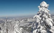 Der Wald erfüllt viele wichtige Aufgaben: Winteraufnahme vom Gnipen auf die Gemeinde Unterägeri. (Bild: PD/Direktion des Innern)