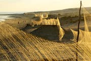 In Ägypten erreichen die Fangnetze an der Küste inzwischen eine Länge von insgesamt 700 Kilometern. (Bild Holger Schulz)