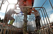 Die Arbeiten bei den Schutzbauten ob Sörenberg sind in vollem Gange. (Bild Nadia Schärli)