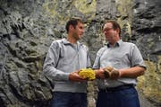 Höhlengewachsen: Alex Lussi (links) mit gelben Austern-Seitlingen (Pleurotus), Markus Stutz mit Shii-Take. Die Pilze sind bereits in der neuen Anlage im Rotzloch gediehen. (Bild: PD)