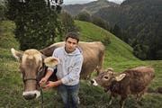 Kilian Pfulg kennt sich mit Braunvieh bestens aus – auch auf dem elterlichen Hof Goldsite ausserhalb von Romoos. (Bild Nadia Schärli)