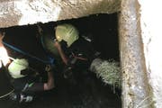Die Feuerwehrmänner stiegen in die Grube hinab, um das Kalb zu bergen. (Bild: Feuerwehr Cham)