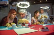 Deborah Blättler (links) und Chantal Häfliger sehen, wie künstliche Herzklappen zusammengenäht werden. (Bild: Dominik Wunderli (Luzern, 18. Mai 2017))