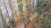 Die Felswand über dem Tribschenhornweg weist Verwitterungen auf und wird darum teilweise abgetragen. (Bild: PD/Stadt Luzern)