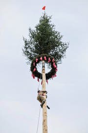 Mit Klettern, einem Umzug und der Kindertrachtengruppe ging es in Weggis an der Sennenchilbi dieses Wochenende traditionell und mitunter spektakulär zu und her. Bild: Roger Grütter (Weggis, 13. November 2016)