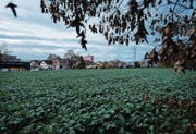 Hier sollen die Zugerinnen und Zuger ab 2020 entsorgen. (Bild: Maria Schmid (Zug, 27. September 2016))