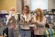 Monika Küttel mit Jennifer und Verena Lüthi (von links nach rechts) von der Zucht «Of Bright House» in Ehrendingen AG. Sie haben an der internationalen Katzenausstellung in der Kategorie «Bester Wurf» den ersten Platz geholt. (Bild: Roger Grütter (Rothenburg, 17. Dezember 2017))