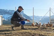 Oben: Bergbauer Andreas Wyss (38) auf seinem Hof in Marbach. Unten: Landwirt Thomas Oehen (42) aus Aesch bei einem seiner Boskop-Hochstammbäume. (Bilder Dominik Wunderli / Nadia Schärli)