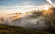Sonnenaufgang auf dem Zugerberg (Bild: Daniel Hegglin)