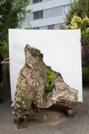 Dieser hölzerne «Seelöwe» wird Teil des Kunstprojektes auf dem Stanser Dorfplatz sein. Die komplette Installation wird erst kurz vor den Stanser Musiktagen aufgebaut. (Bild: PD)