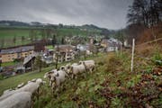 Blick auf die Gemeinde Ebersecken. (Bild: Pius Amrein)
