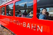 Die Rigi-Bahnen. (Bild: Dominik Wunderli (Neue LZ))