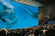 Impression aus dem Saal des zurzeit des Films «Delphine» noch Imax genannten Kinos. (Bild Photopress)