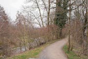 Unter anderem im Bereich «im Jöchler» bei den Schrebergärten in Baar soll die Lorze aufgewertet werden. (Bild: Maria Schmid (20. März 2018))