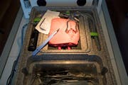Vascular verkauft auch Übungssets in einer Kiste, die sogenannte «The-Vi-Box». Kostenpunkt: 750 Franken. (Bild: Corinne Glanzmann / Neue LZ)