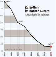 Bild: Neue LZ