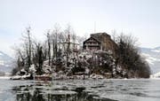 Die Insel Schwanau. (Bild Erhard Gick/Neue SZ)