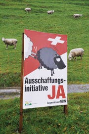 Abstimmungsplakat der SVP. (Bild: Urs Bucher (Sitterdorf, 12. November 2010))