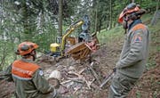 Abriss einer illegal erstellten Hütte im Krienser Hochwald. (Bild: Pius Amrein (17. Mai 2016))