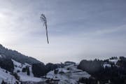 Insgesamt 170 Bäume wurden an einem Seil von Helikoptern ausgeflogen. (Bild: Keystone (16.11.2017))